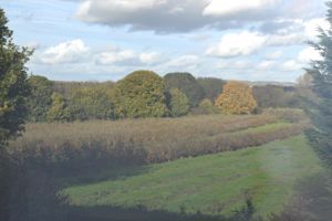 Photo 7- click for photo gallery